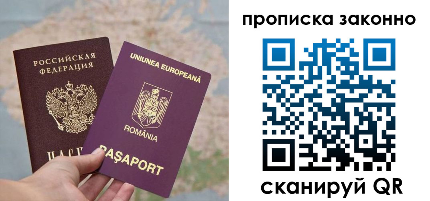 прописка гарантия в Лесосибирске